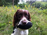 Dexter proudly holding his 'Easy Mark' Partridge dummy - Sent in by Steve