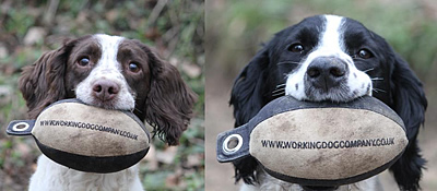 Two gorgeous spaniels proudly showing off their Easy-Mark dummies. Sent in by Rob